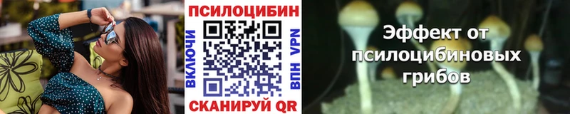 купить Динская Галлюциногенные грибы ЛСД